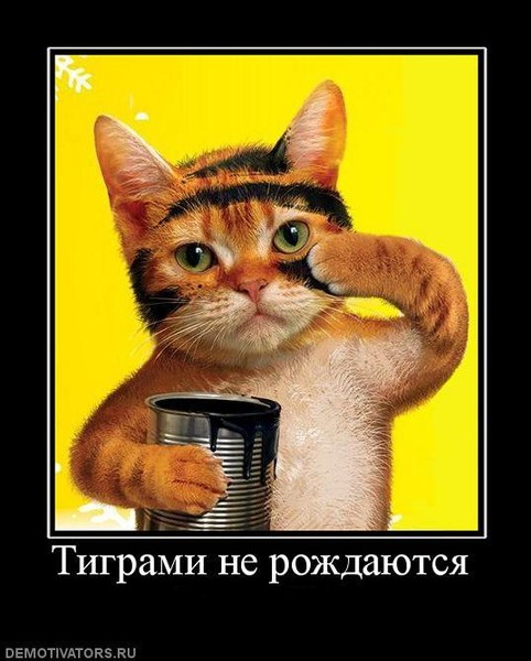 Дмитрий Ким