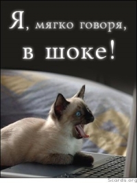 Kortny Kortny