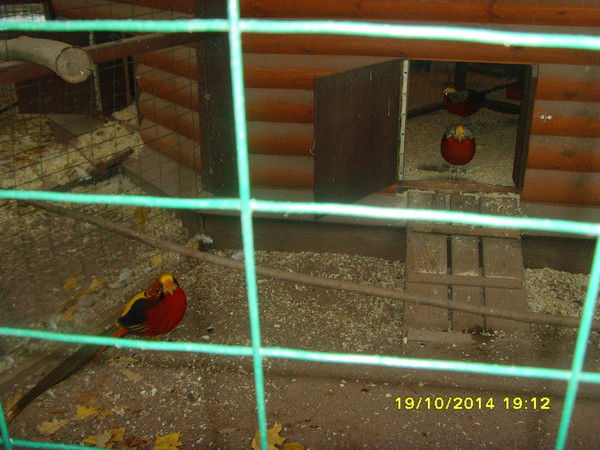 Любовь Алексеевна Бриленкова