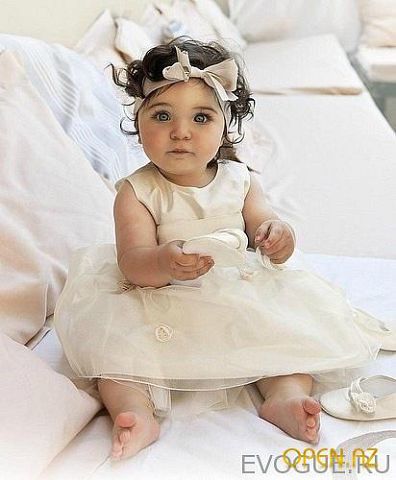 Елена Ильина