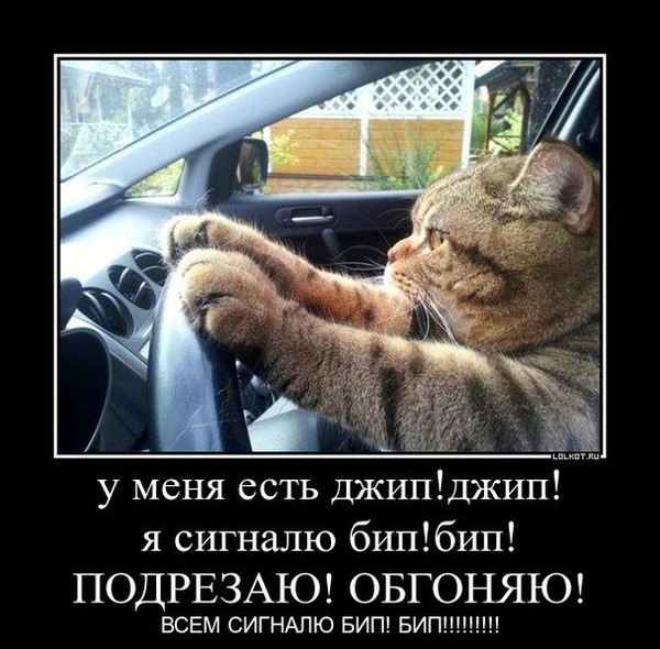Дмитрий Мангер