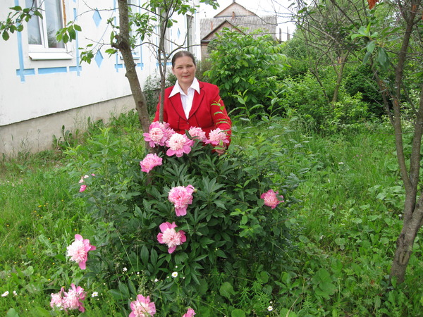 Надежда Орлова