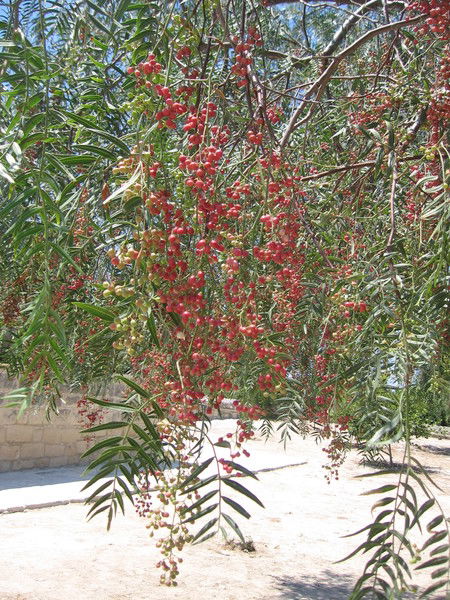 Валентина Весенняя