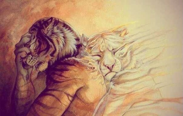 ~Nereden~Zver ~Sama~