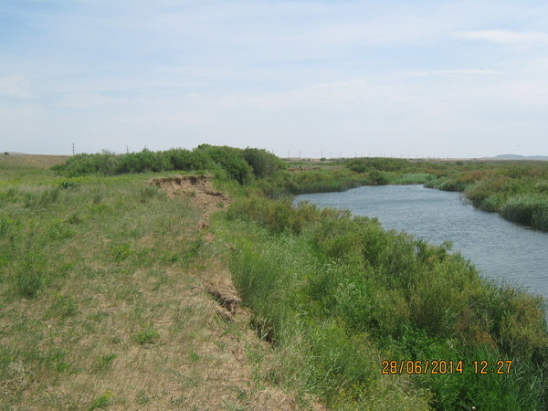 Рафик Халиков