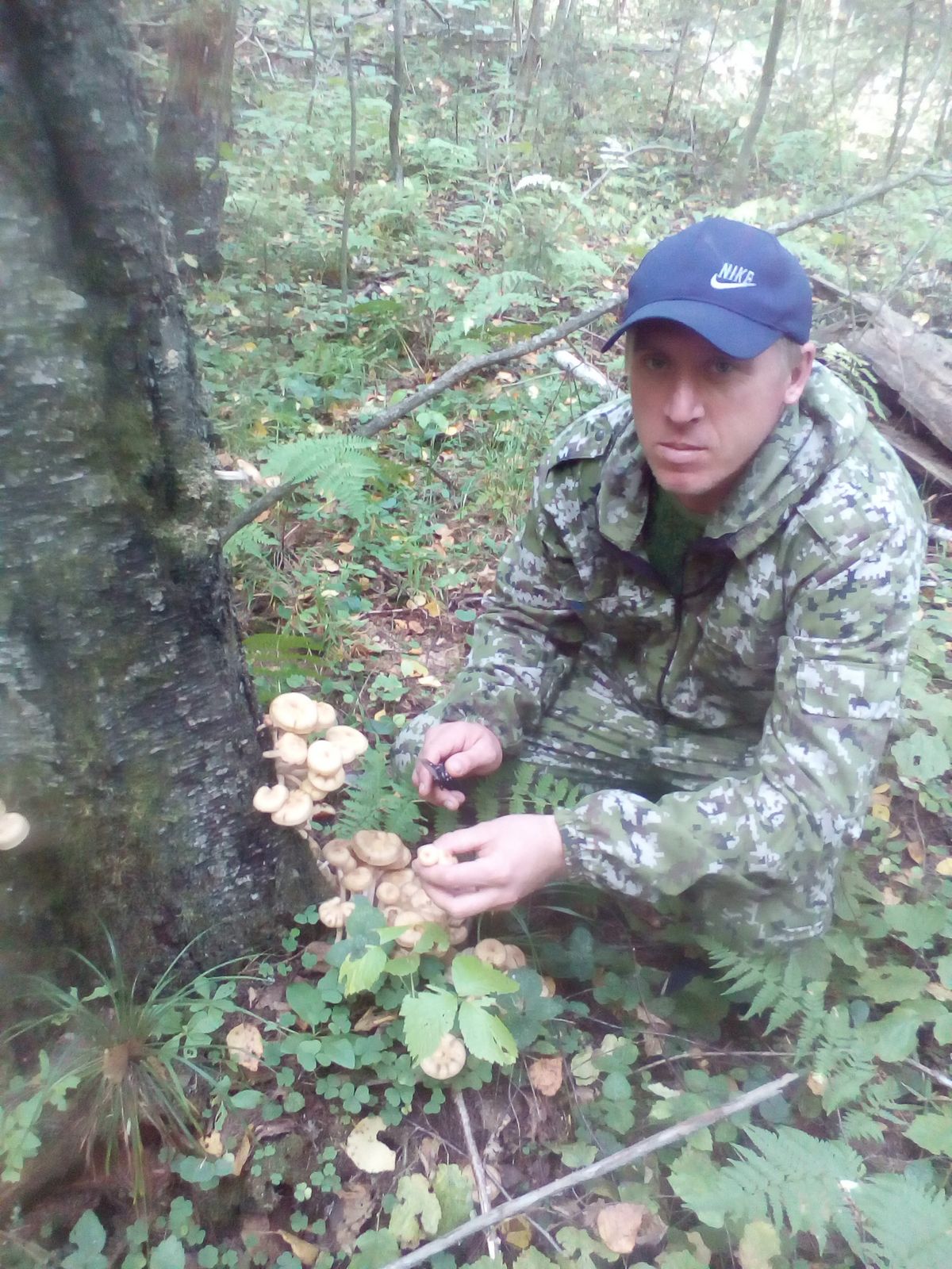 Алексей Лоскутов