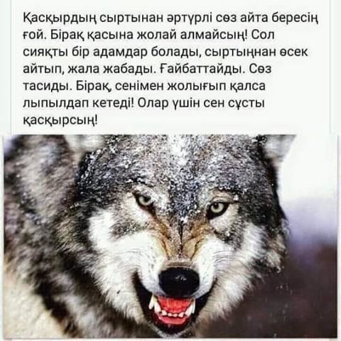 Куат Огузбаев