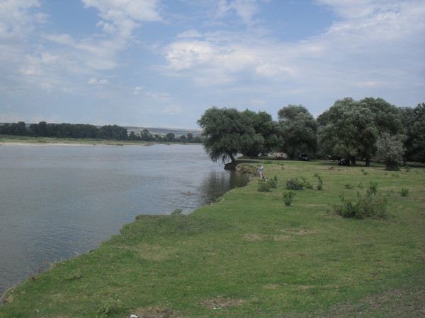 Nariman Yusifov