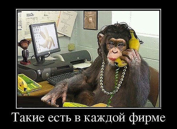 Suleyman Suleymanov