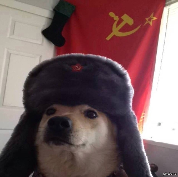 Иван Стоцкий