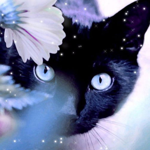 Ольга !!!!!!!!!!!!!!