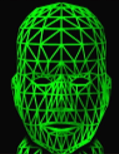 Green Shell