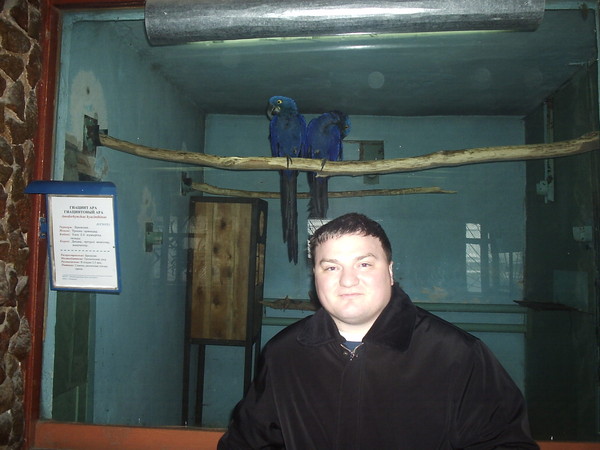 Евгений Коркунов