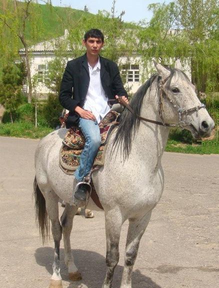 Ифтихор Холов