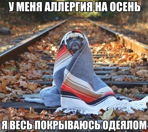 Николай Миргородский