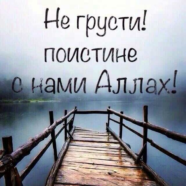 Эльвира Хаттафова