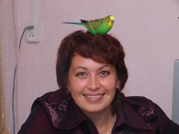 Инна Селиванова
