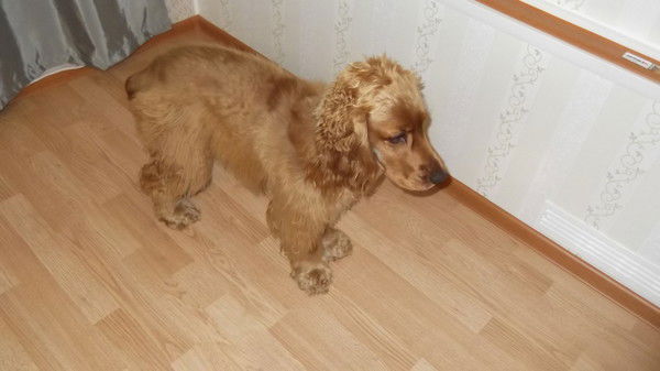 Михаил Турцев