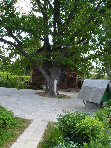 Чергейко Олег