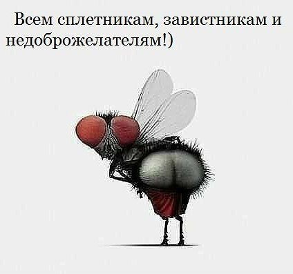 Константин... ..
