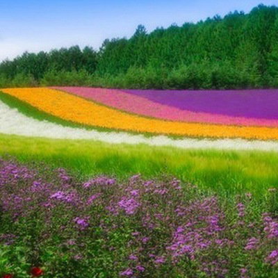 Алиса Черникова