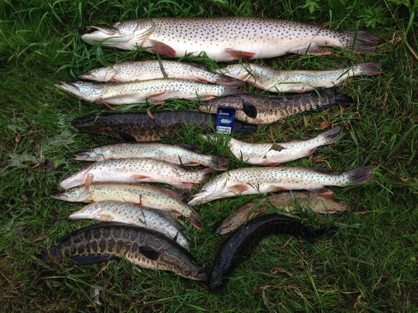 Евгений Бондарь