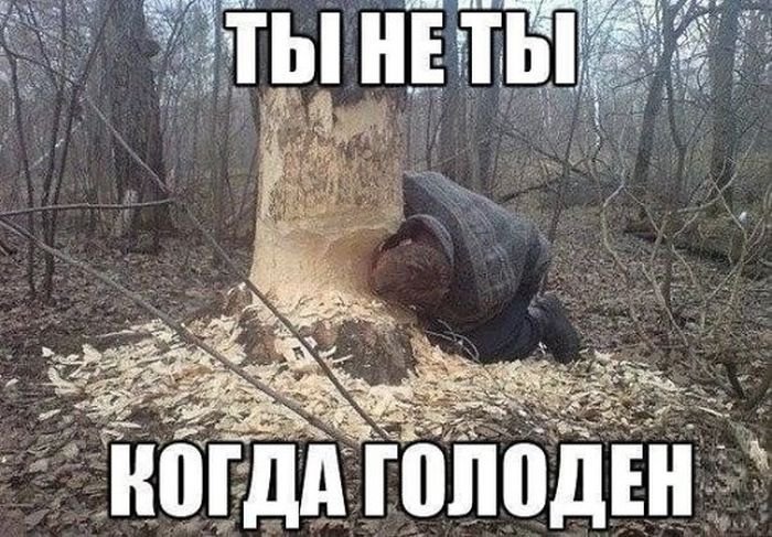Вилен