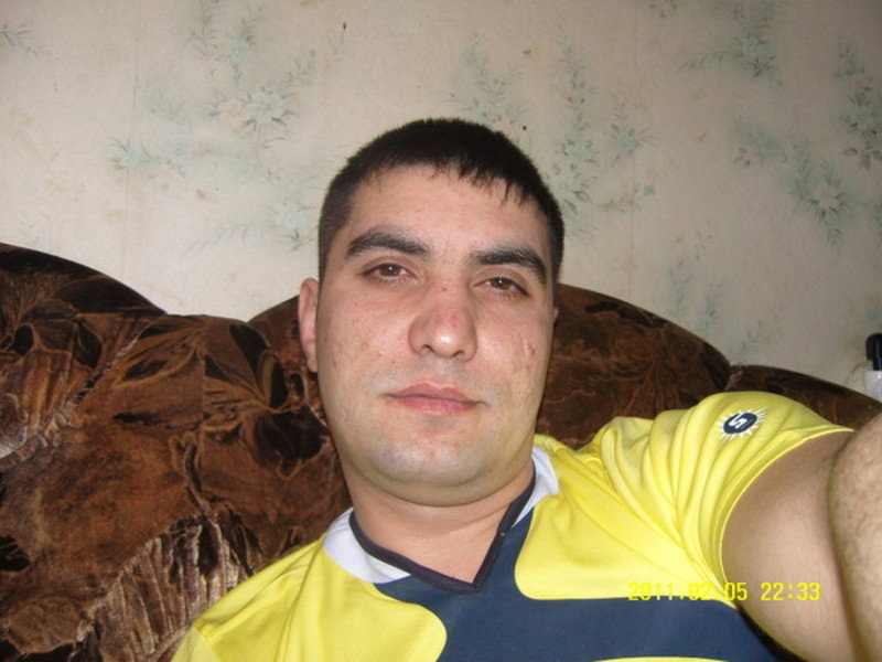 Elmi