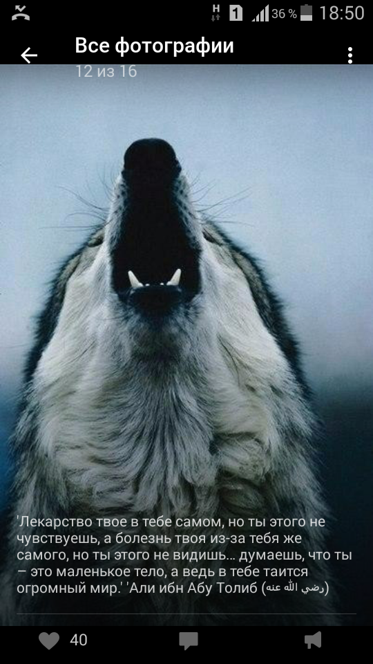 Шамсудин Нохчо