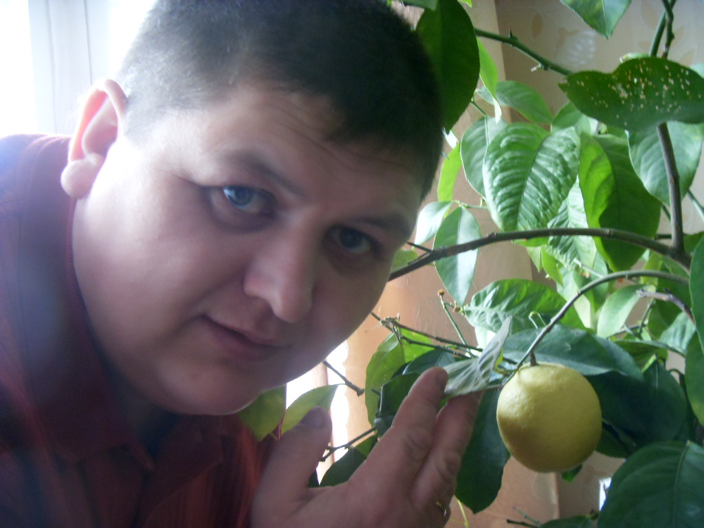 Аркадий Кудряшёв