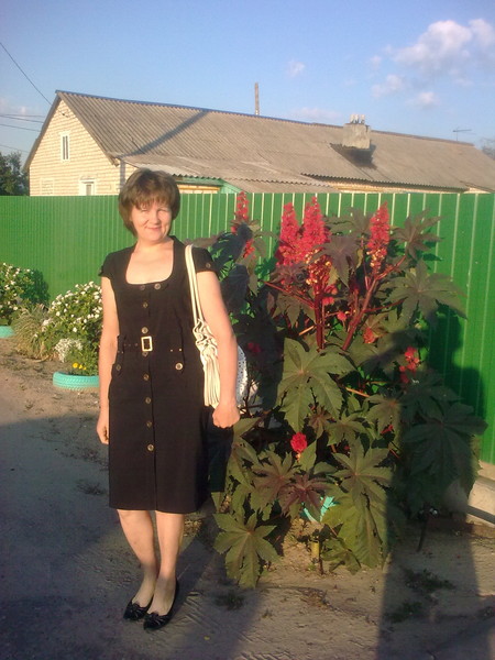 Елена Жизнь