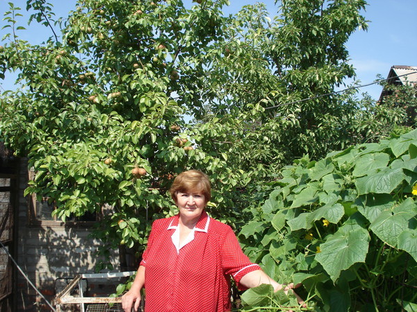 Светлана Вульф
