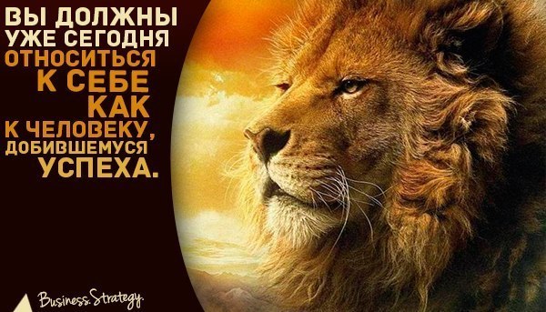 Роман Зимуха