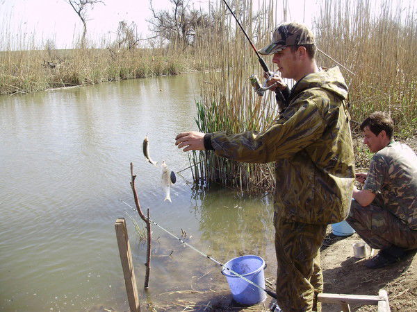 Дмитрий Лозовенко