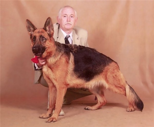 Александр Ивахин