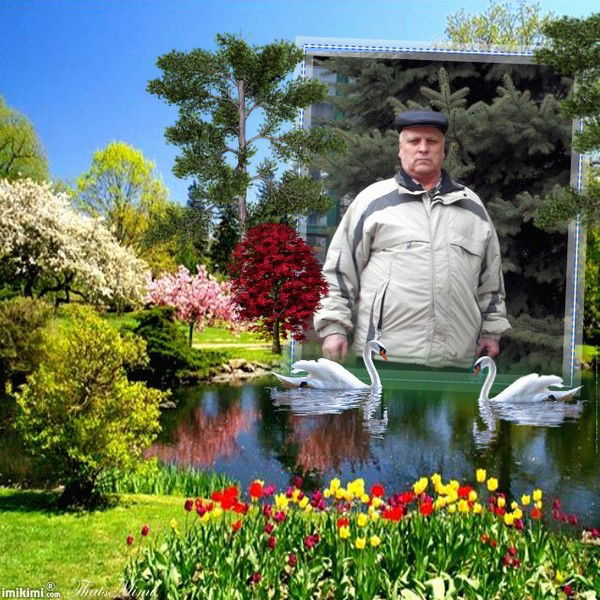 Вова Раковицэ