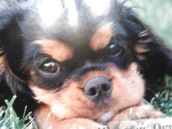 Инна Кузнецова