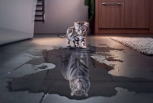 Светлана Чуксина