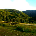 Михаил Ткачев