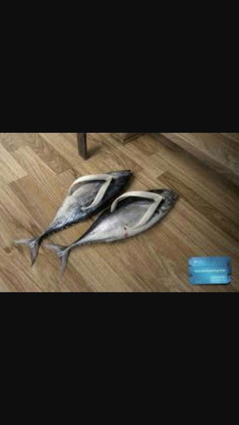 Алуа Болатовна