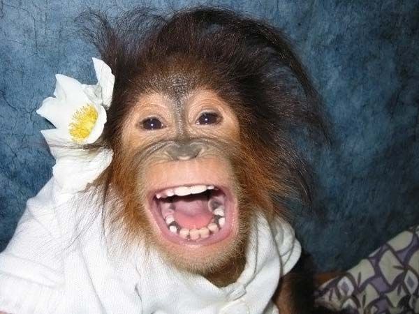 Ольга Лукина