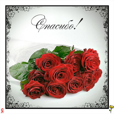 елена гонюкова