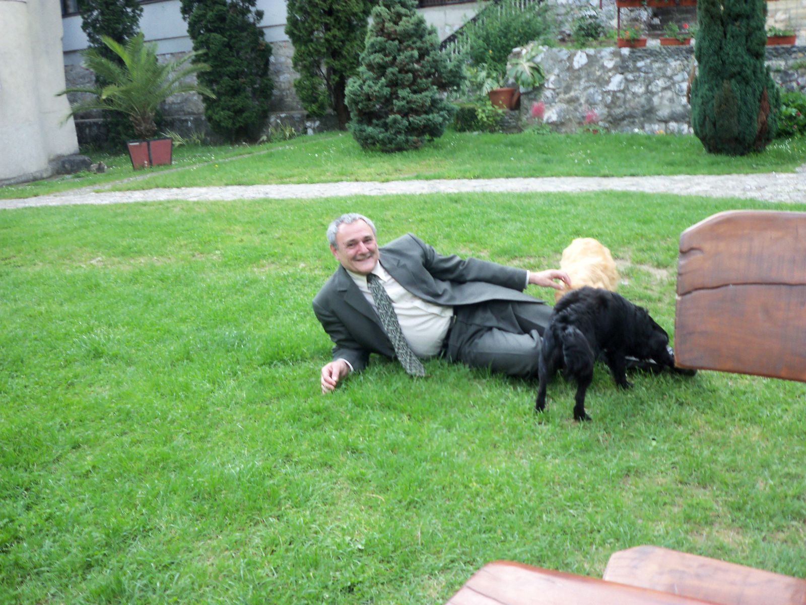 Dragan Jovanovic