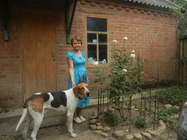 Валентина Орлова