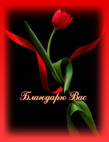 Даулет Мамбеткулов