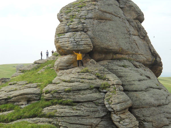 Елена Шильникова