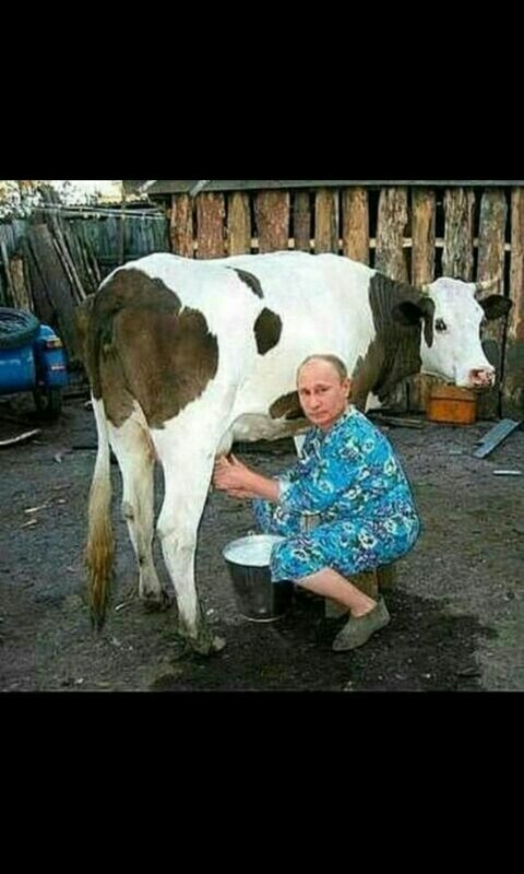 M.a