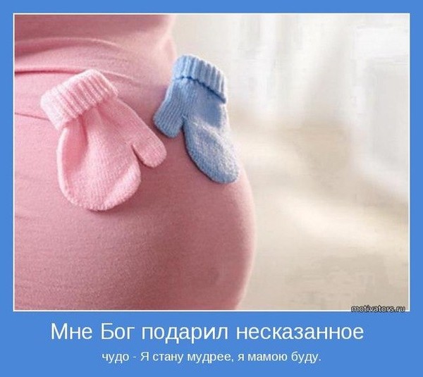 Елизавета Карпенко