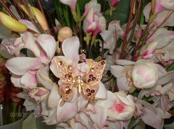 Мир Красоты И Здоровья