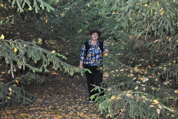Роза